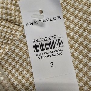 Ann Taylor dress pants